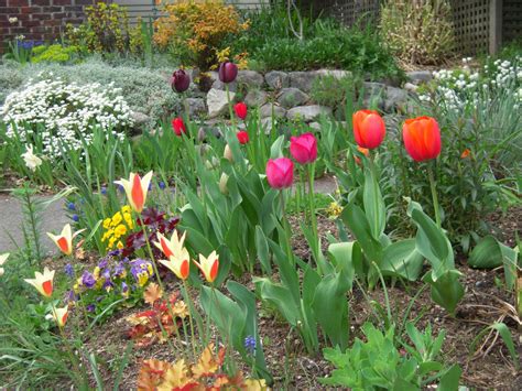 Hortus Urbanus April Blooms