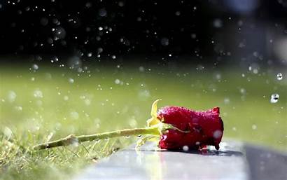 Fb Lovely Nature Wallpapers Rain Latest Sweet