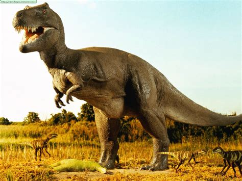 Pengertian unggas menurut para ahli. Fotos de dinosaurios