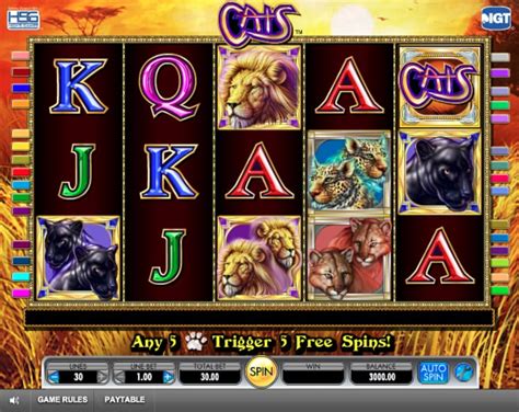 Ll Cats Slot Review ᐈ Where To Play In 2023