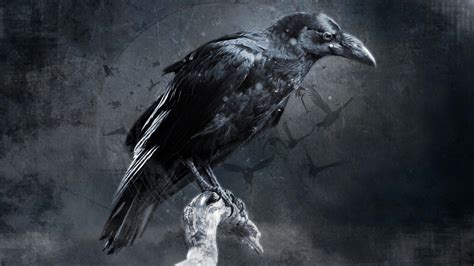 Raven X Beautiful Dark Art Abstract Wallpaper Painting Kits