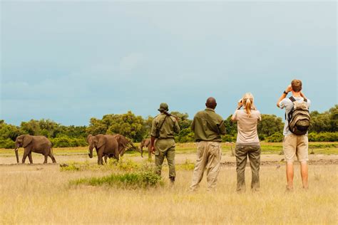Botswana Tours Botswana Safari Cost Vacation Package