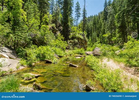 West Clear Creek Arizona In Spring Stock Photo Image Of Desert