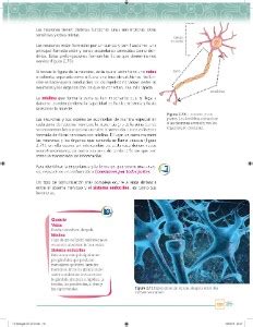 5 puntos libro de ciencias y tecnologia biologia 1 secundaria contestado pide más detalles. Libro De Biologia 1 De Secundaria Contestado 2019 - Libros ...