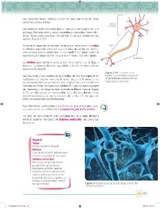 Paco muy emocionado entr a la escuela all llego al 1 grado, grupo a uno por uno se presentaron hasta que le toc a paco muy emocionado dijo: Libro De Ciencias Biologia 1 Secundaria Contestado 2018 ...