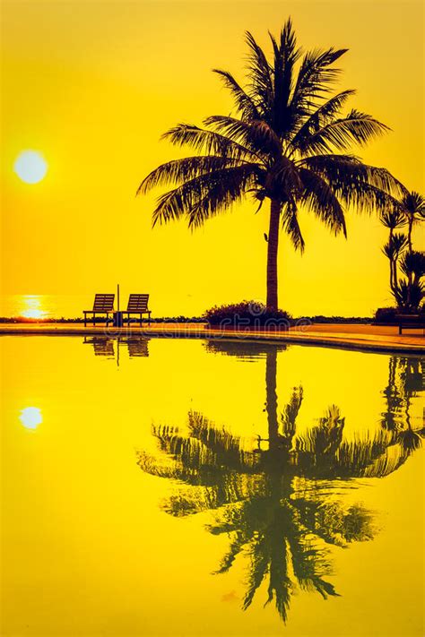 Silhouette Coconut Palm Tree With Swimming Pool Stock Photo Image Of
