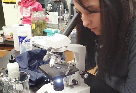 Learn how to use a microscope. Microscope Labeling