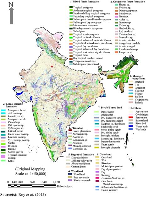 New Vegetation Type Map Of India Prepared Using Satellite Remote