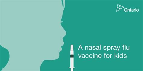 The ontario government is getting more than eight million vaccines between now and the end of july, which means the those 70 and older who have received either pfizer or moderna will be eligible for their second dose as of june 7. Newsroom : Ontario Giving Parents More Choice with Free ...