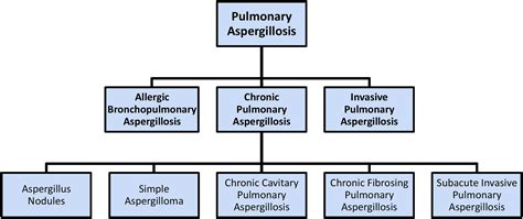 The Spectrum Of Pulmonary Aspergillosis Respiratory Medicine