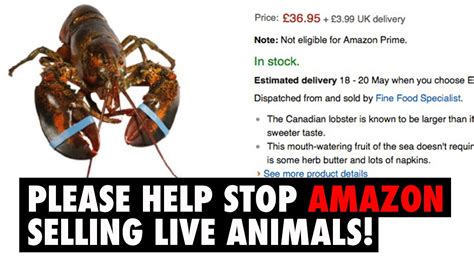 Amazon Sell Live Animals On Their Website?! - Please Help! - YouTube