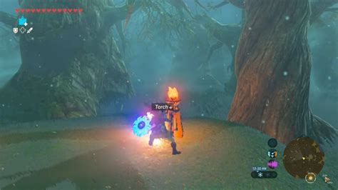 How To Get Through The Lost Woods In Zelda Botw