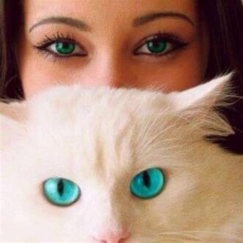 Life In Turquoise Beautiful Eyes Cool Eyes Animals