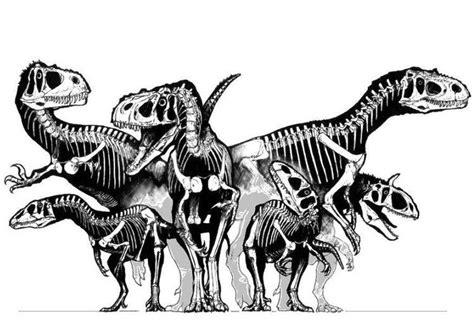Dinosauria black and white stock photos images page 3. Ausmalbilder Dinosaurier Skelett | Dinosaurier skelett ...