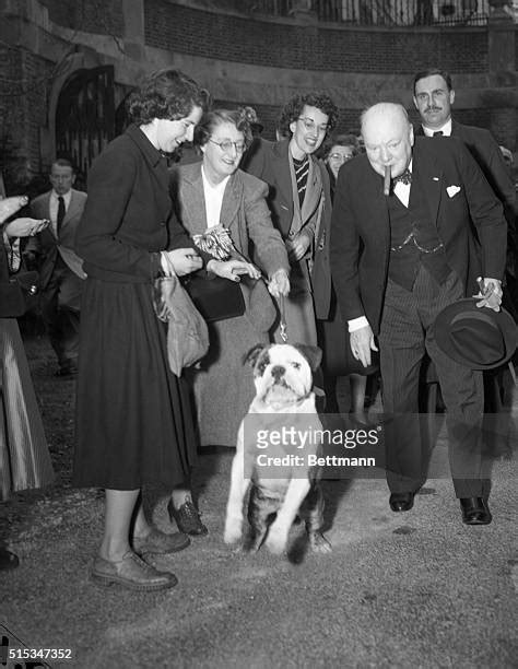 Winston Churchill Bulldog Photos And Premium High Res Pictures Getty