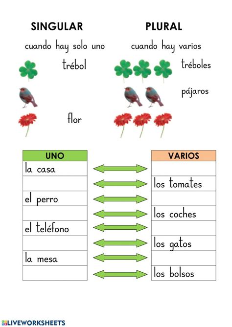 Ejercicio Interactivo De Singular Y Plural Para 2º Primaria Puedes