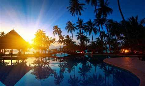 Blue Swimming Pool Water Sunlight Reflection Palm Trees Hd