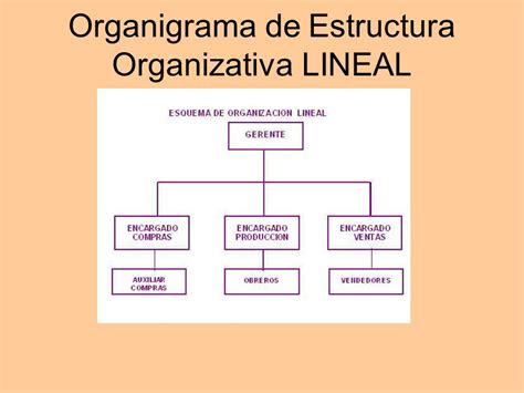 Ejemplo De Estructura Organizacional Lineal Formatos Porn Sex Picture