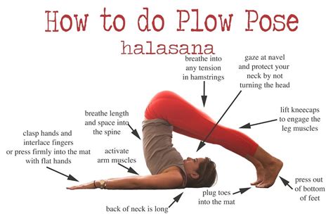 Halasana Plow Pose Steps And Benefits Hyzape