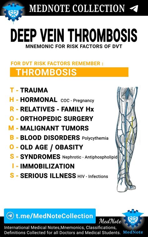 Causes Of Deep Vein Thrombosis Milolinux