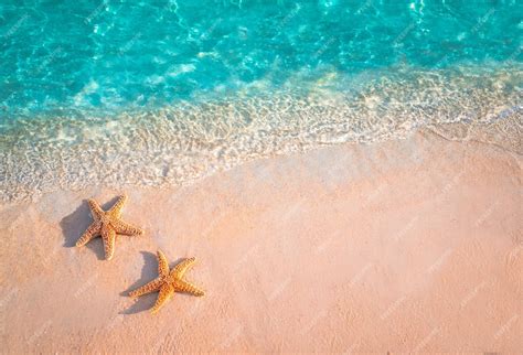 Premium Photo Starfish On The Summer Beach In Sea Water Summer