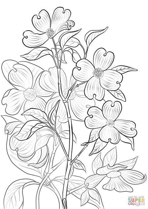 ✓ free for commercial use ✓ high quality images. Flowering Dogwood coloring page | Free Printable Coloring ...