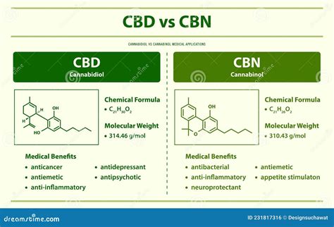 Cbd Vs Cbn Cannabidiol Vs Cannabinol Horizontal Infographic Complete