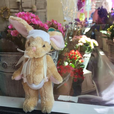 busybeeflowers #newtonflowers #watertown #watertownflowers ...