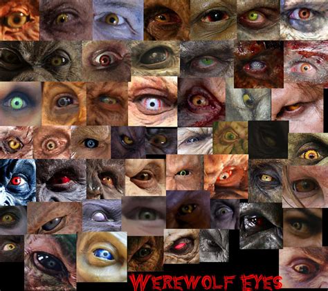 Werewolf Eyes By Chowduke On Deviantart