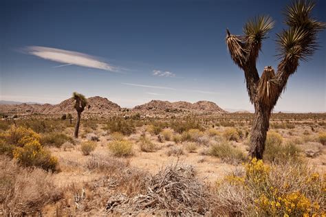 fotos gratis paisaje árbol naturaleza césped rock desierto montaña nube cielo pradera