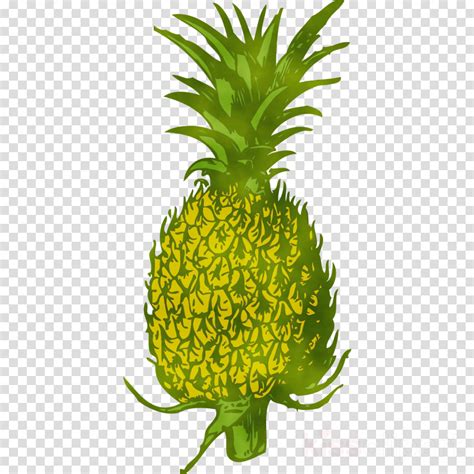 Pineapple Clipart Ananas Pineapple Plant Transparent Clip Art