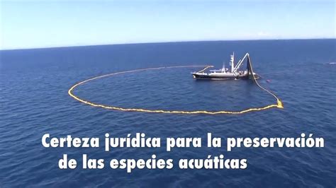 Ley General De Pesca Y Acuacultura Youtube