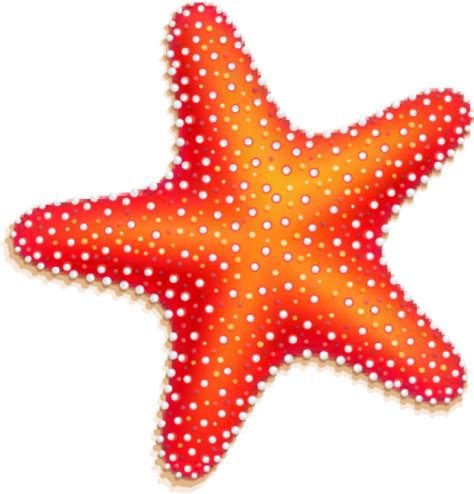 Ocean Animal Clipart Starfish And Other Clipart Images On Cliparts Pub