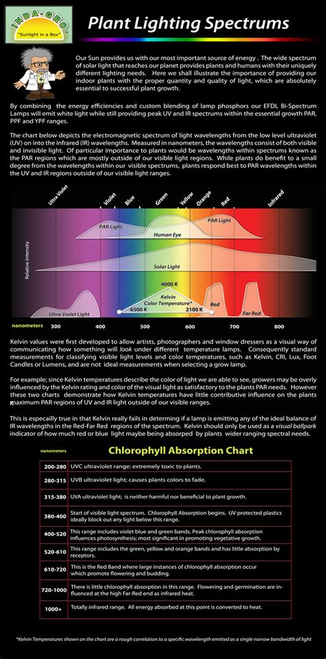 Check spelling or type a new query. Plant Light Spectrum
