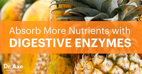 Digestive enzymes for cats are available over the counter, but it's not a good idea to give them to kitty unless your vet recommends them. Absorb More Nutrients with Digestive Enzymes - Dr. Axe