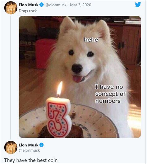 Elon Musk ủng hộ DOGECOIN là tiêu chuẩn cho nền tài chính ...