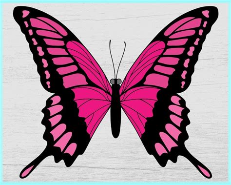 127 Layered 3D Butterfly Svg SVG PNG EPS DXF File