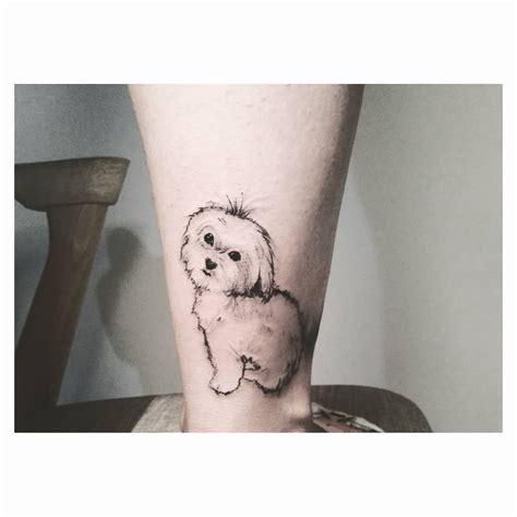 Maltese Dog Tattoo Designs Girlandboypicturewallpaper
