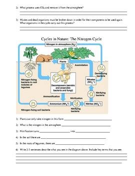In aquifers (underground water reservoirs). Worksheet Nutrient Cycles by ChemistryCat | Teachers Pay ...