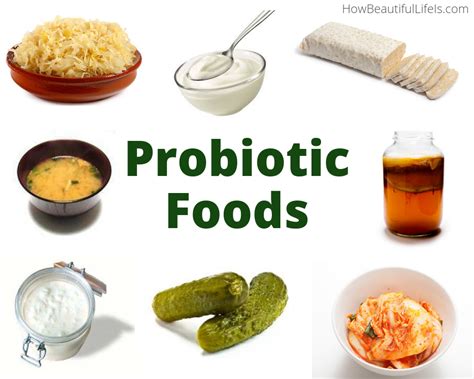 There are so many brands available, and there have been plenty of recalls on pet food, and horror we've chosen ten brands of dog food imbued with probiotics to review for you. Probiotic foods | How Beautiful Life Is