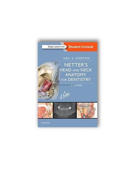 Netters Head And Neck Anatomy For Dentistry 3rd Edition