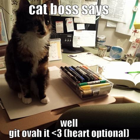 Cat Boss Says Quickmeme
