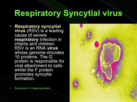 Respiratory syncytial virus (rsv) prevention guideline. Respiratory Syncitical Virus