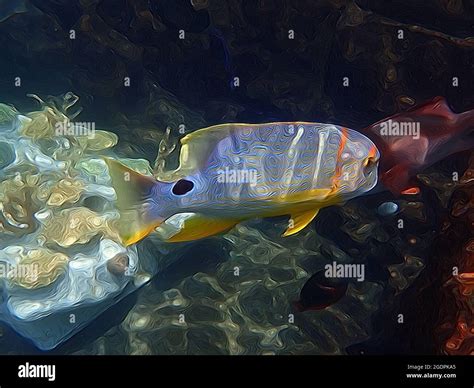 An Illustration Of A Beautiful Blue And Yellow Striped Fish Swimming In
