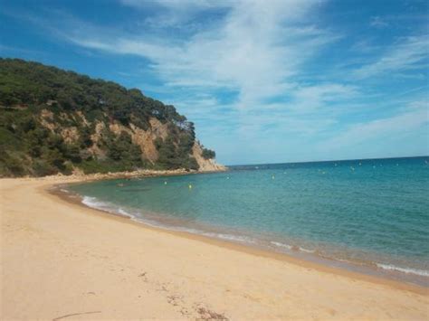 Els jardins de santa clotilde, el museu del mar, l'església de sant romà o el cementiri modernista. Plage de Santa Cristina - Picture of Santa Cristina ...