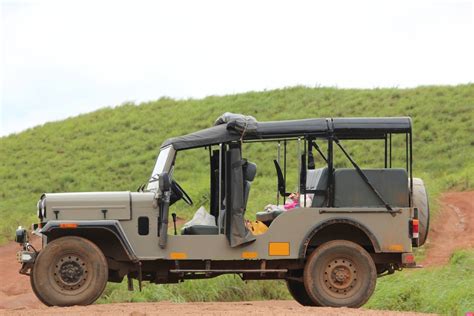 Expedite The New Year With Jungle Jeep Safaris Of Thekkady