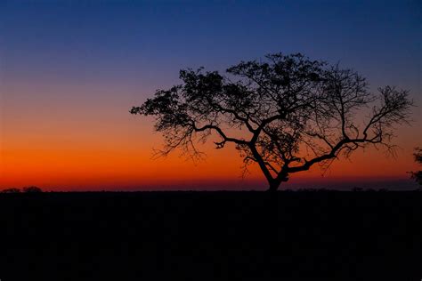 Theres No Sunset Like A Kruger Sunset