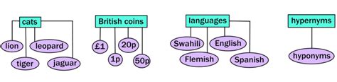 Lexical Relations Describing Similarities In The English Language