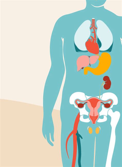 The Effects of Obesity on Your Body