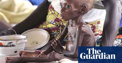 Niger Famine Crisis At 11th Hour Niger The Guardian